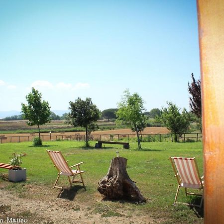 Agriturismo San Matteo Tarquinia Ngoại thất bức ảnh
