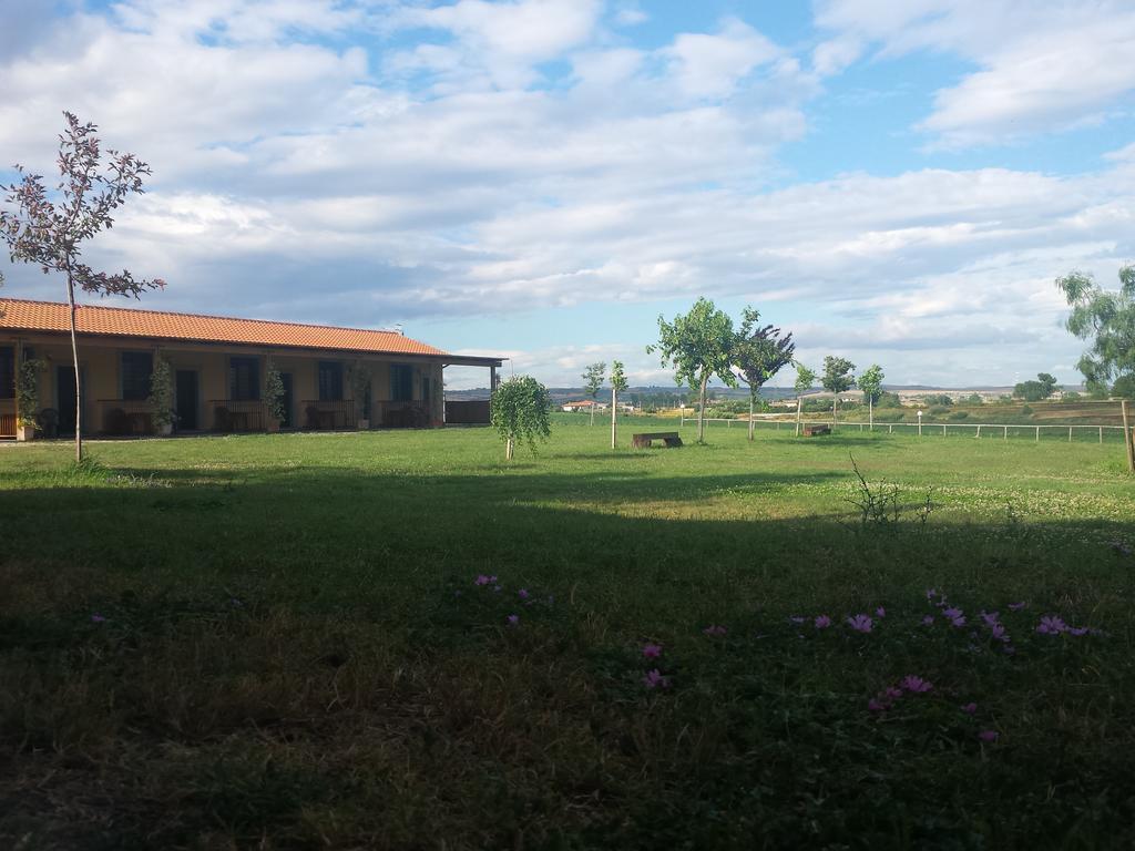 Agriturismo San Matteo Tarquinia Phòng bức ảnh