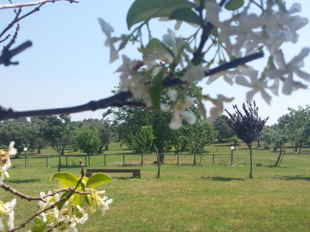 Agriturismo San Matteo Tarquinia Phòng bức ảnh