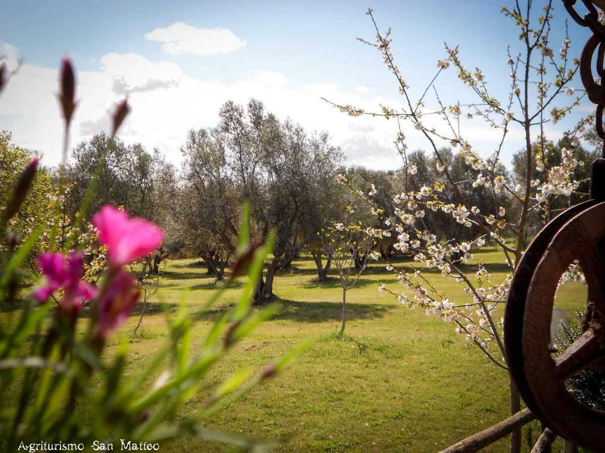 Agriturismo San Matteo Tarquinia Ngoại thất bức ảnh