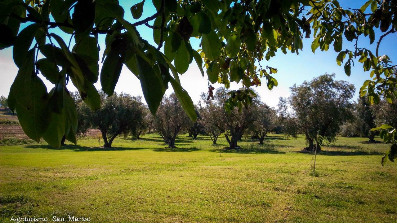 Agriturismo San Matteo Tarquinia Ngoại thất bức ảnh