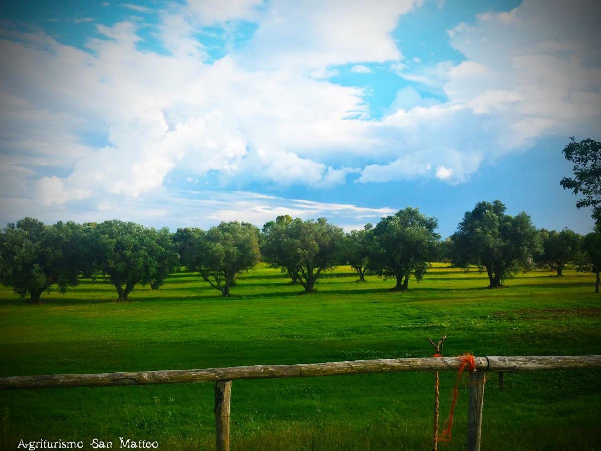 Agriturismo San Matteo Tarquinia Ngoại thất bức ảnh