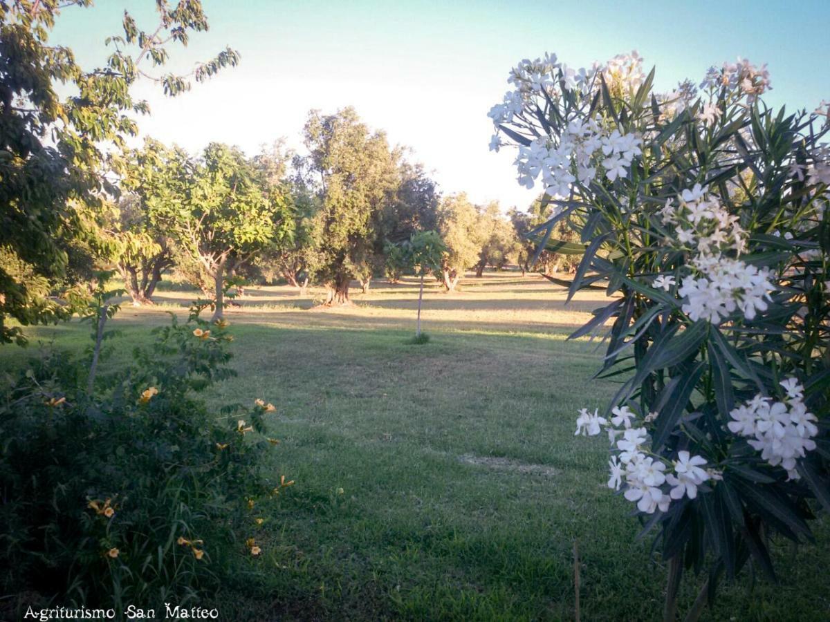 Agriturismo San Matteo Tarquinia Ngoại thất bức ảnh