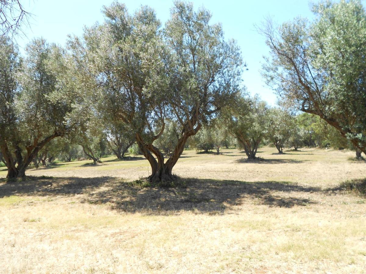 Agriturismo San Matteo Tarquinia Ngoại thất bức ảnh