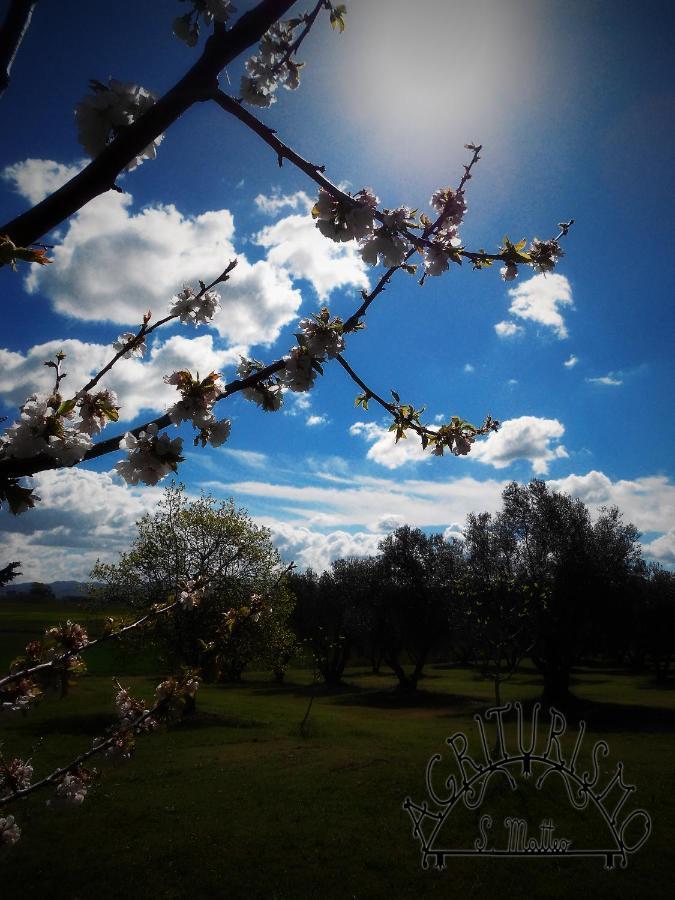 Agriturismo San Matteo Tarquinia Ngoại thất bức ảnh