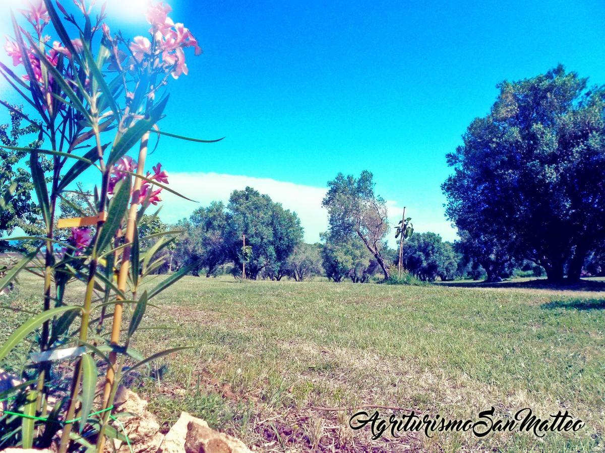 Agriturismo San Matteo Tarquinia Ngoại thất bức ảnh
