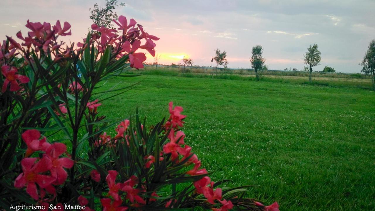Agriturismo San Matteo Tarquinia Ngoại thất bức ảnh